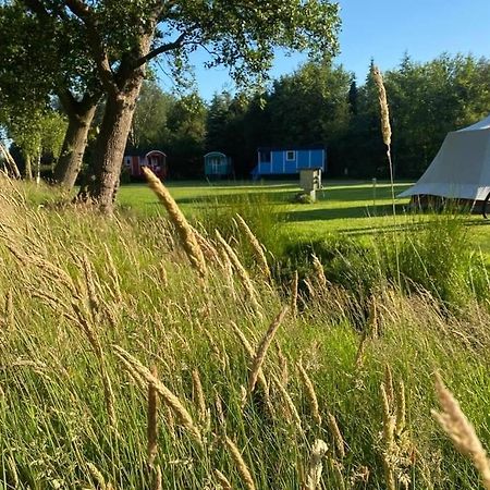 Pipowagens Bij Pannenkoekenrestaurant & Camping De Koppenjan 'Een Uniek Verblijf Met Kinderspeelboerderij' Jubbega-Schurega Экстерьер фото