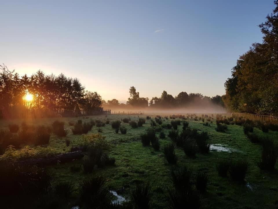 Pipowagens Bij Pannenkoekenrestaurant & Camping De Koppenjan 'Een Uniek Verblijf Met Kinderspeelboerderij' Jubbega-Schurega Экстерьер фото